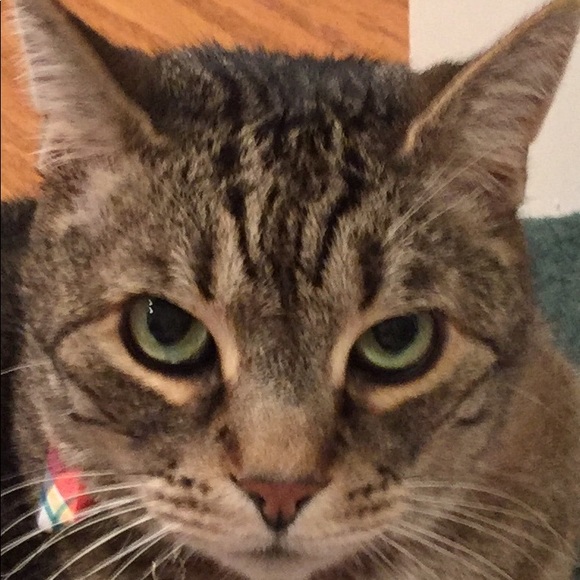 Meet your Posher, Bethany - Picture 1 of 4